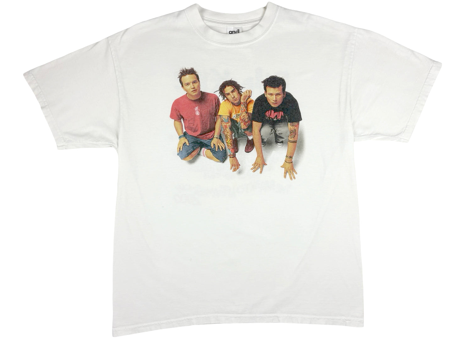Vintage Blink-182 2000 Tour White T-Shirt Mark Tom And travis Show Photo