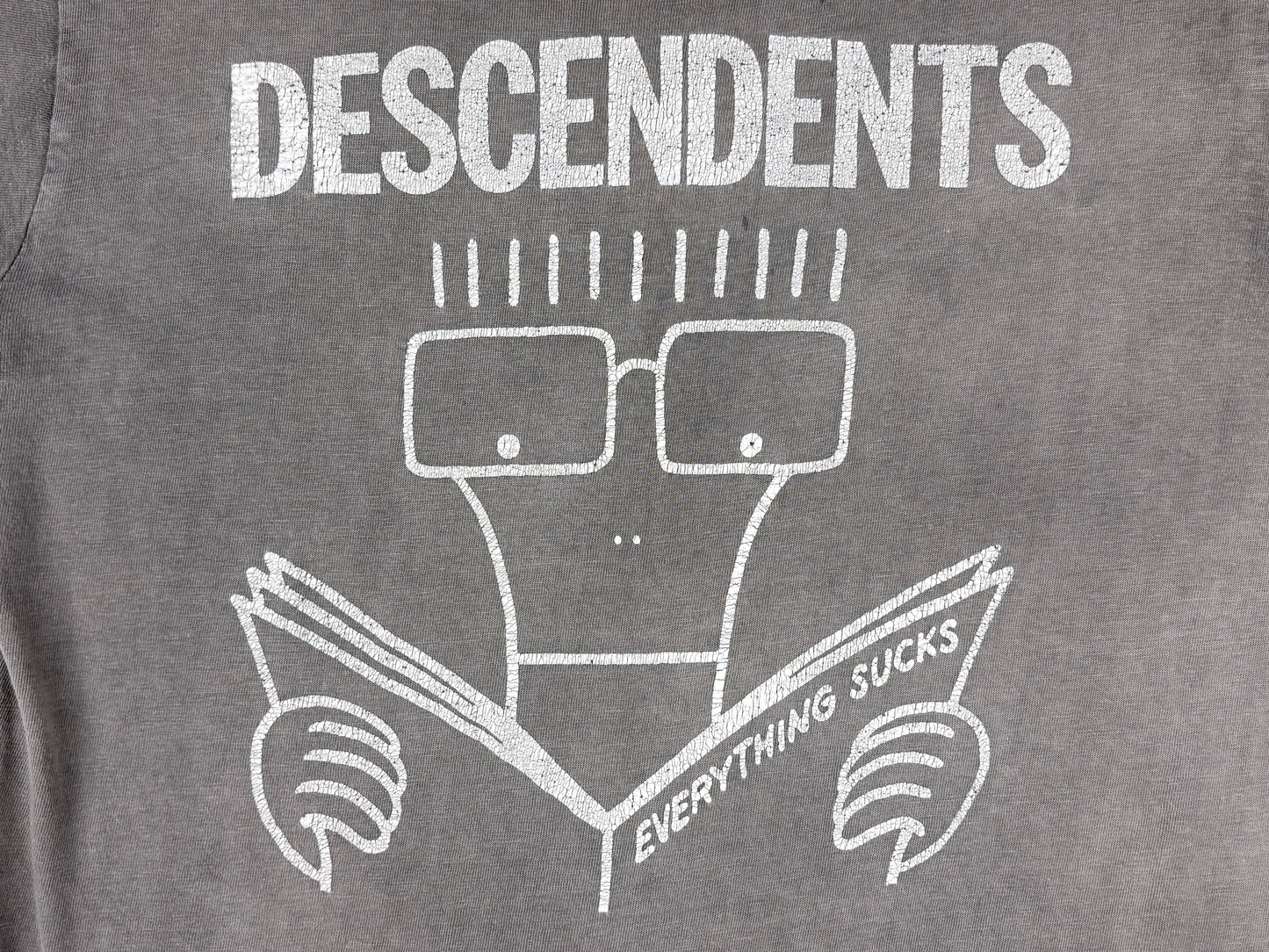 Descendents Faded T-Shirt