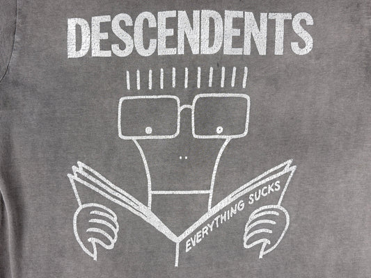 Descendents Faded T-Shirt