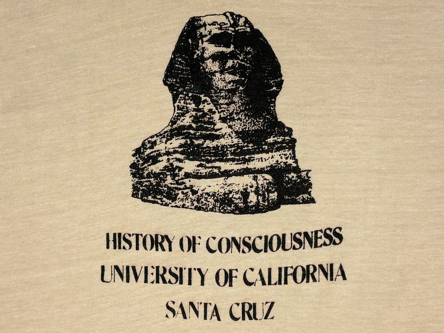 History of Consciousness University California T-Shirt