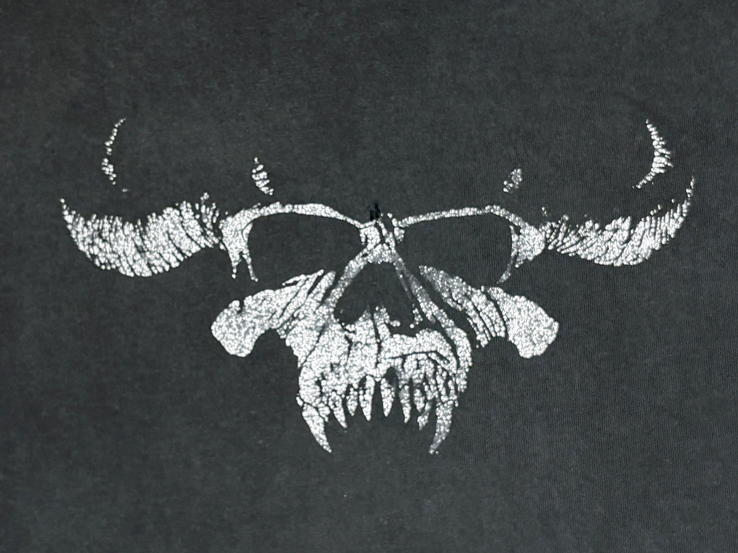 Danzig Faded Skull T-Shirt