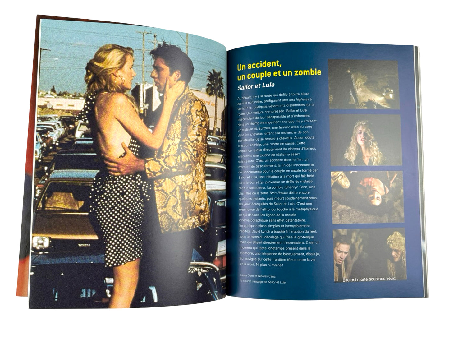 David Lynch French Book