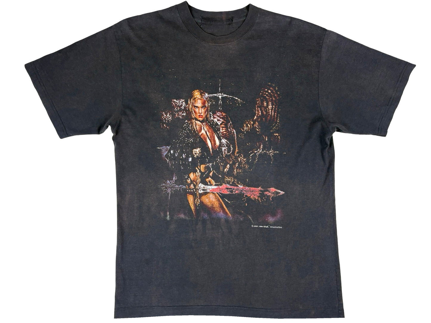 Fantasy Babe w/ Sword & Owl Now What T-Shirt