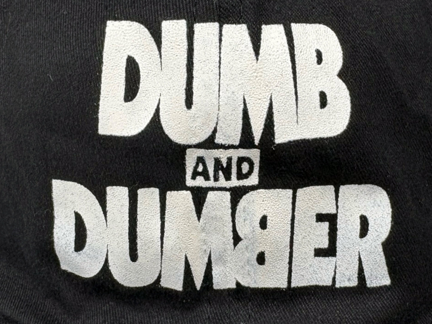 Dumb And Dumber Movie Hat