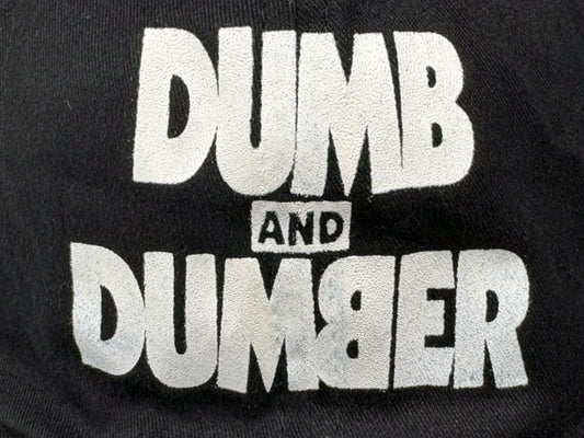 Dumb And Dumber Movie Hat