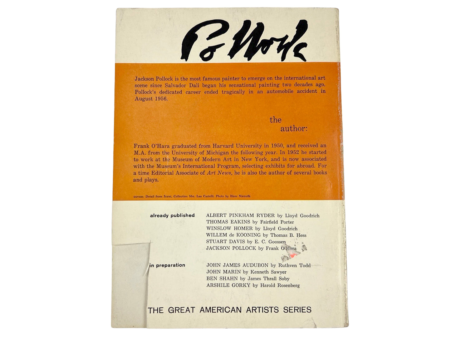 Jackson Pollock Book