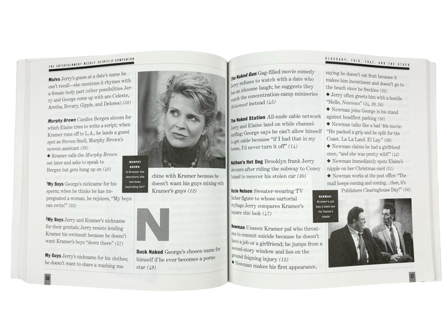 Seinfeld Companion Book