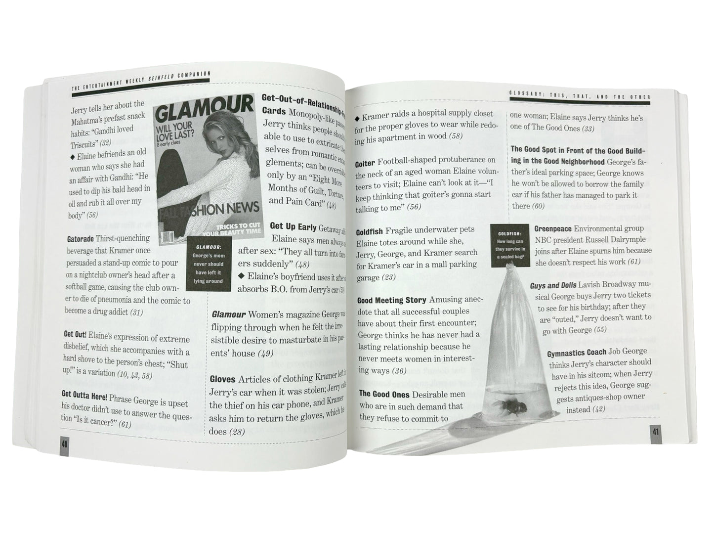 Seinfeld Companion Book
