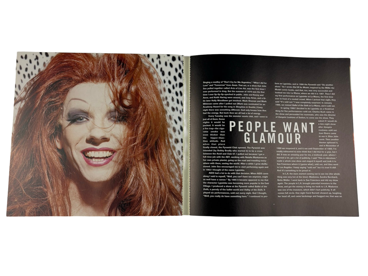 Drag Diaries Book