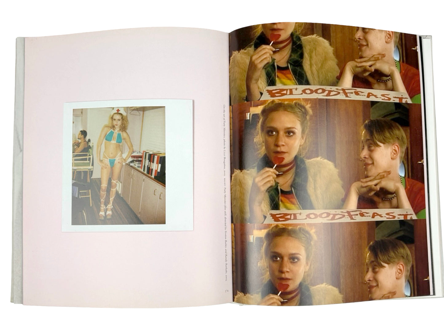 Chloe Sevigny Photo Book