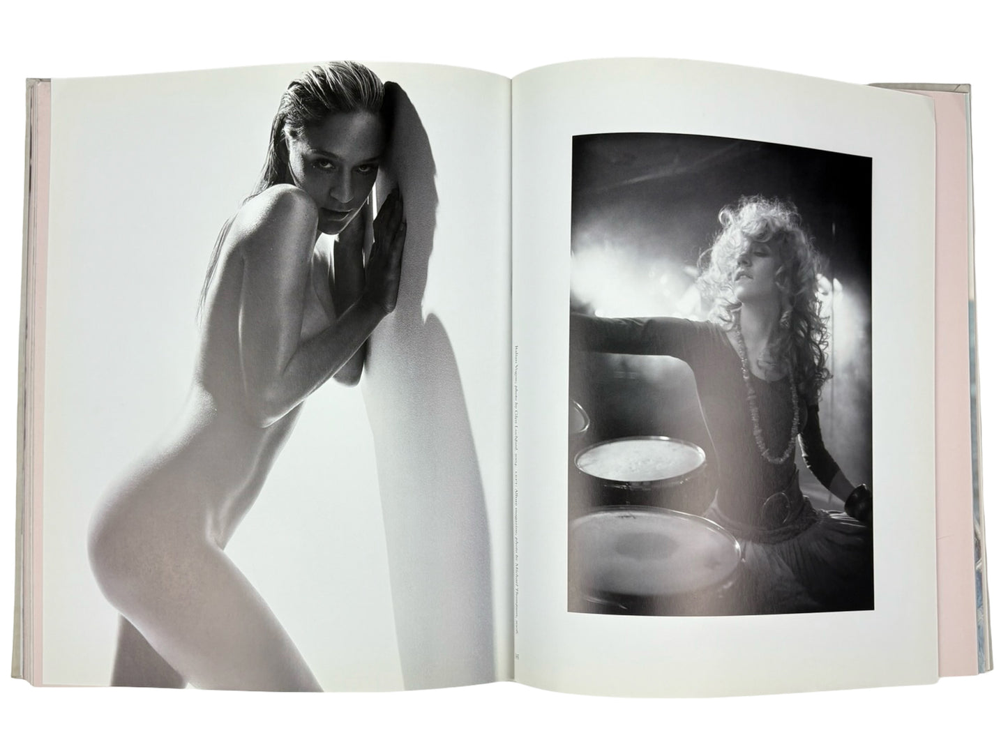 Chloe Sevigny Photo Book