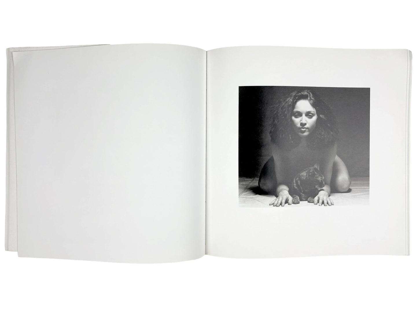 Madonna Nudes 1979 Book