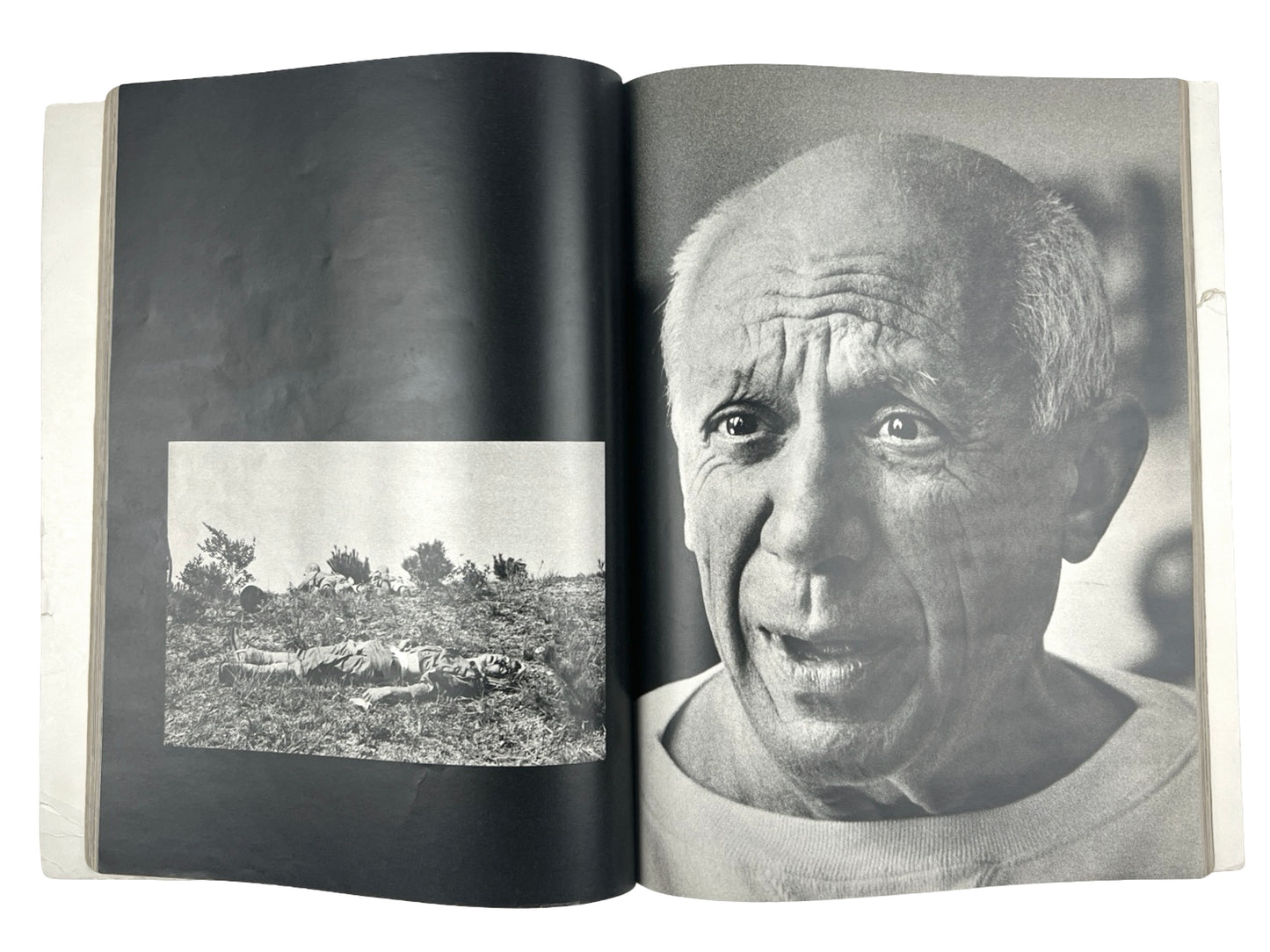 Pablo Picasso The Private World Book