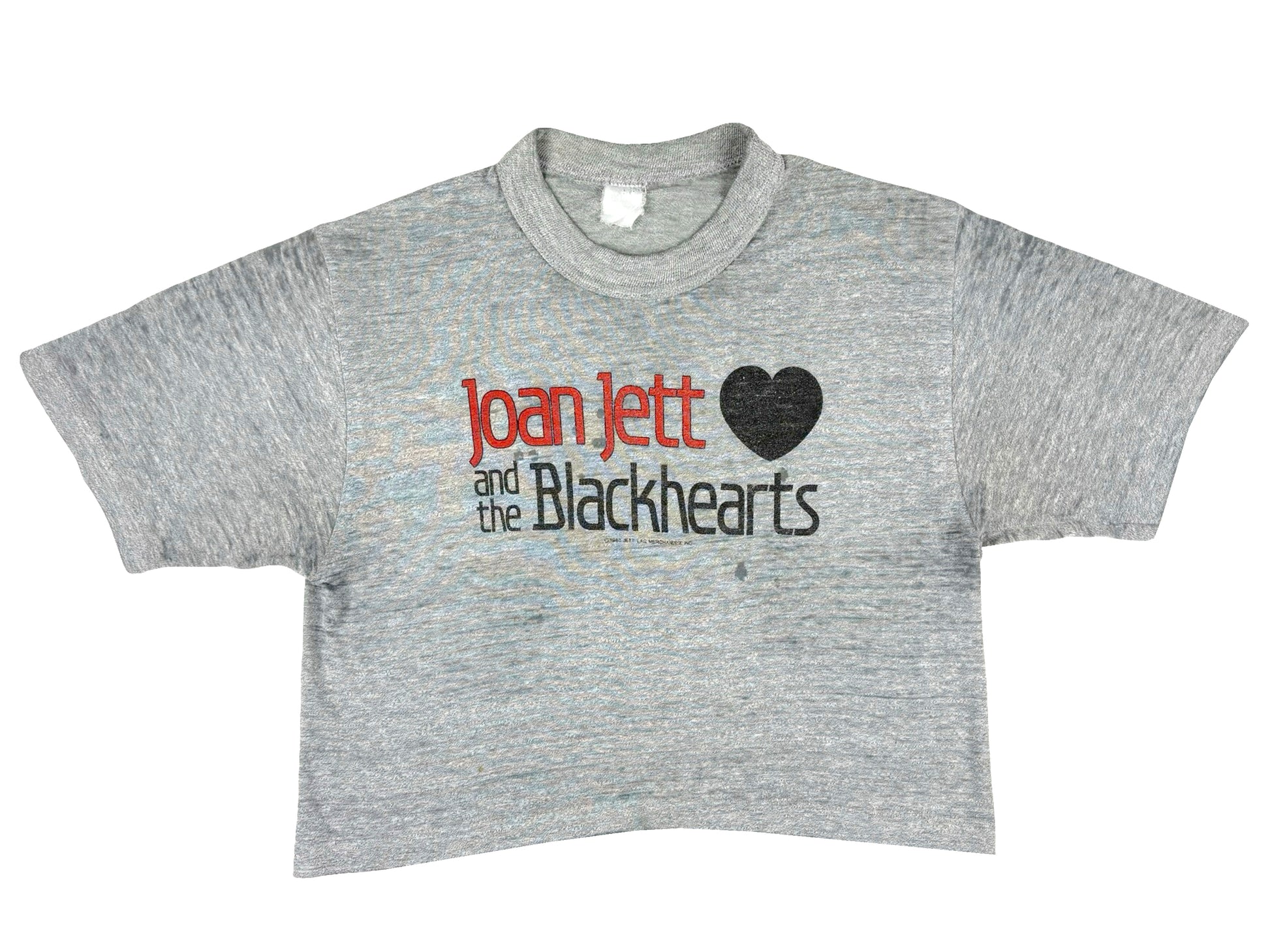Vintage Joan Jett & The Black Hearts Crop Top