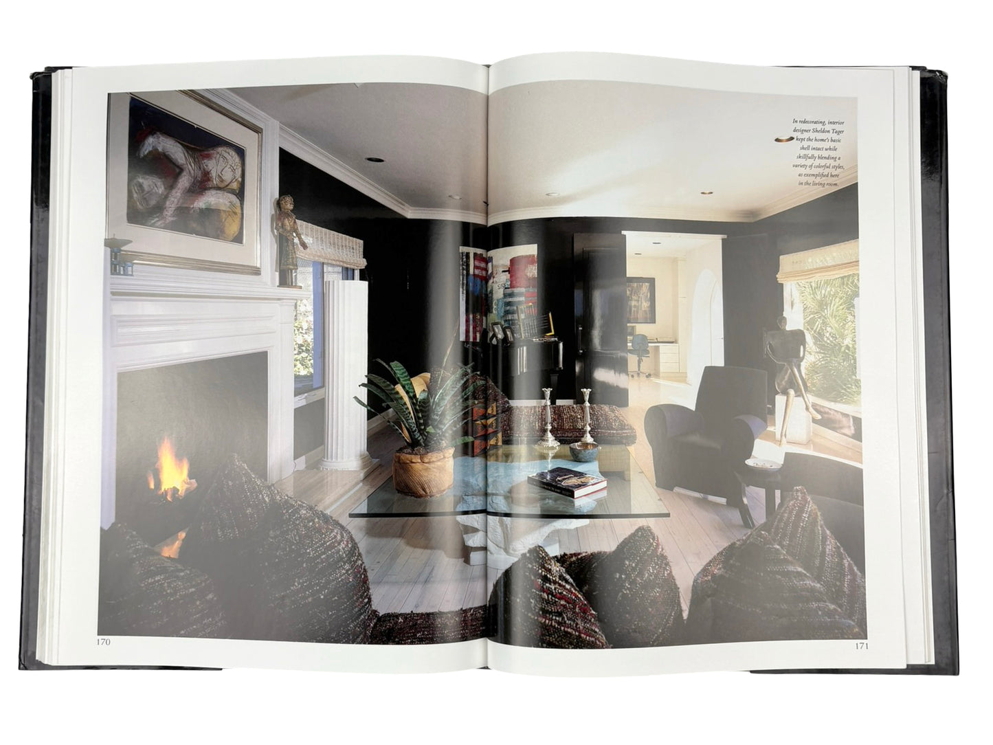 The Best Audio/Video Interiors Book