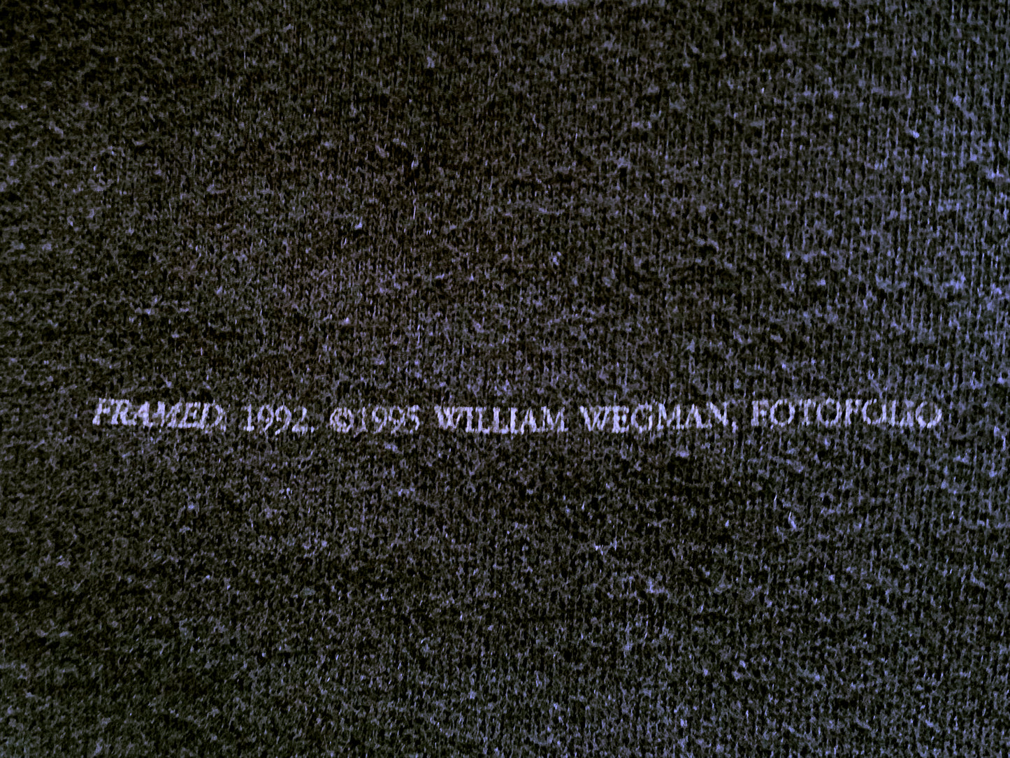 William Wegman 'Framed' T-Shirt