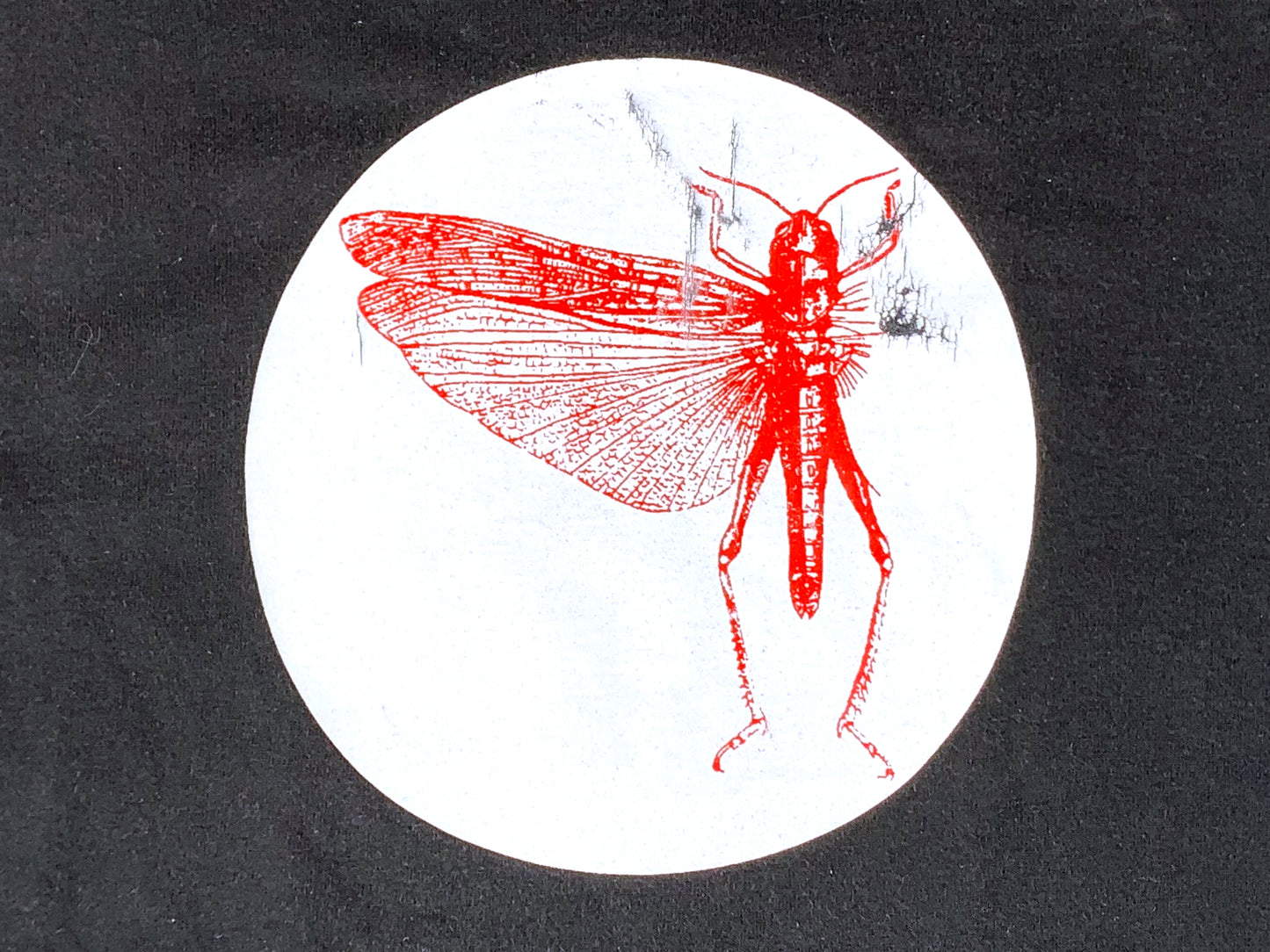 The Locust T-Shirt