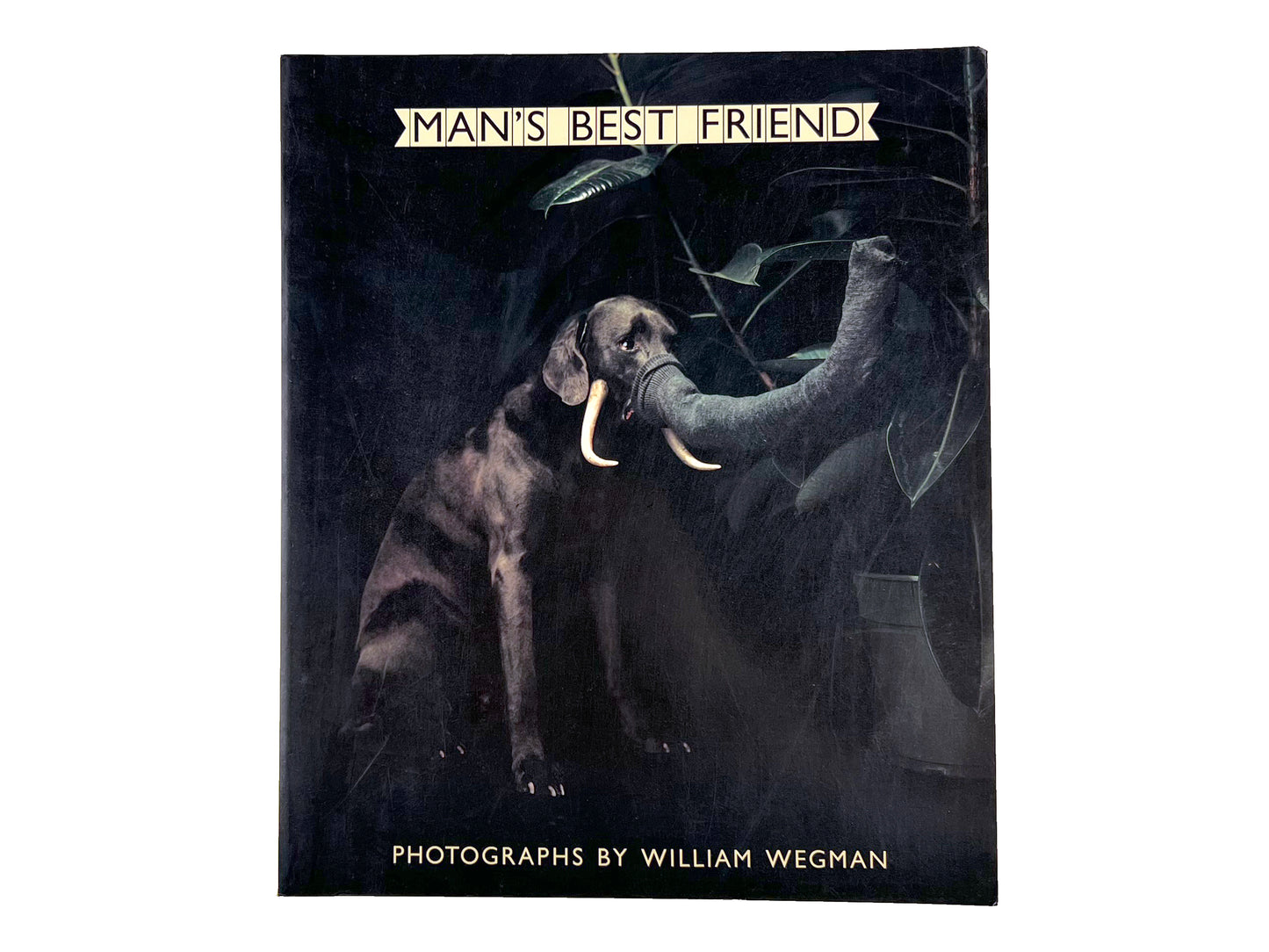 William Wegman Man's Best Friend Book