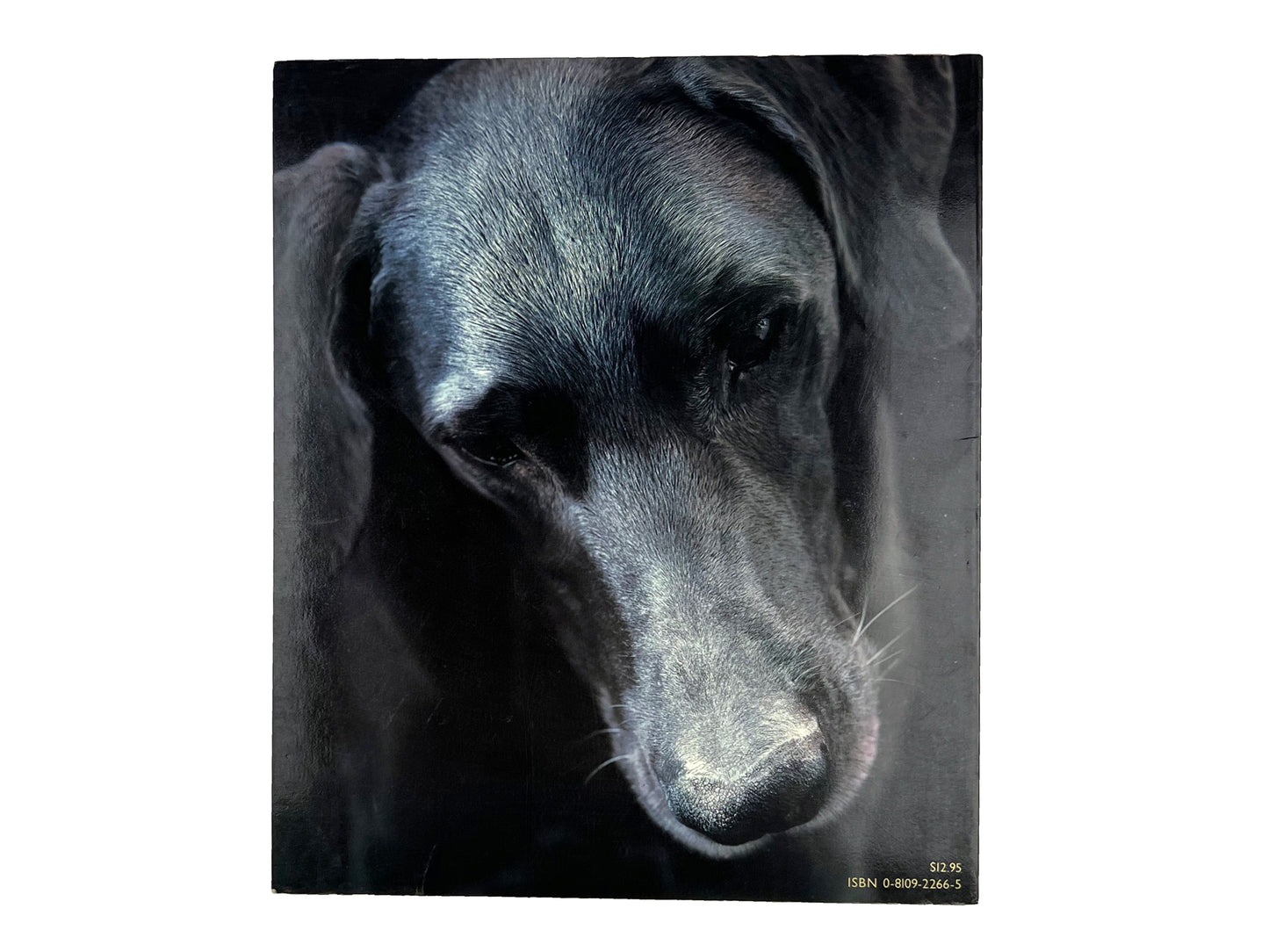 William Wegman Man's Best Friend Book