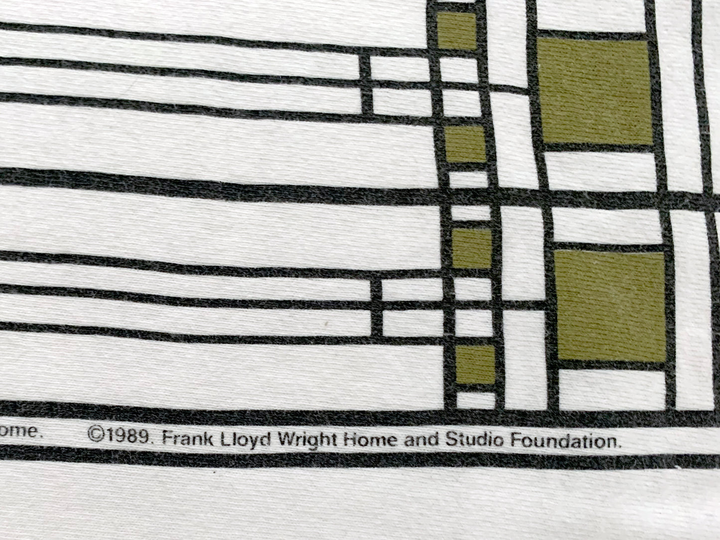 Frank Lloyd Wright in Oak Park T-Shirt